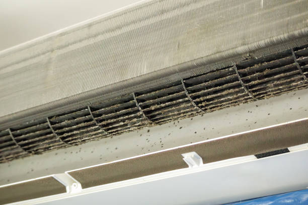 Best Professional Duct Cleaning Services  in Sunset, LA